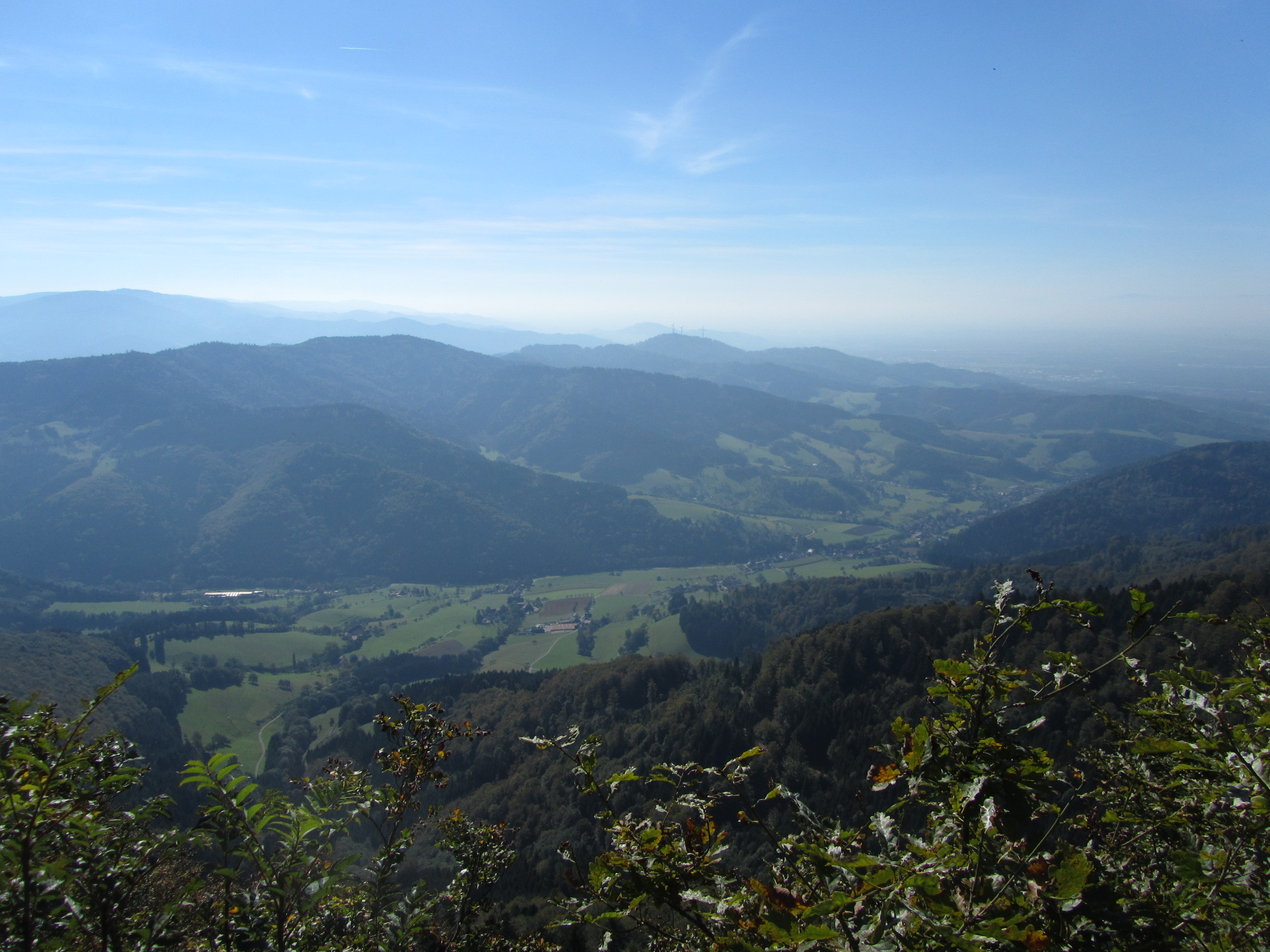 Blich übers Glottertal auf den südlichen Schwarzwald
